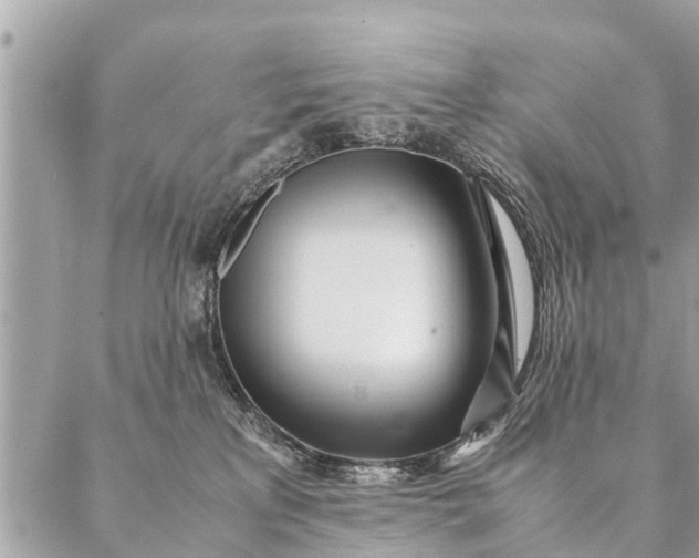 X0000087390233200705042018