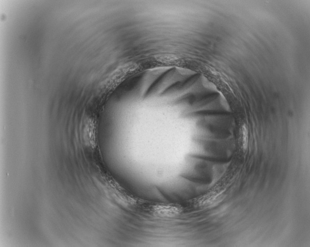 X0000087390234200705042018