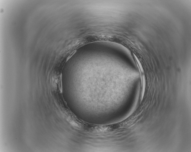 X0000087390235200705042018