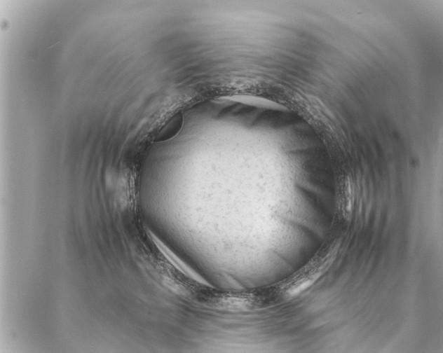 X0000087390236200705042018