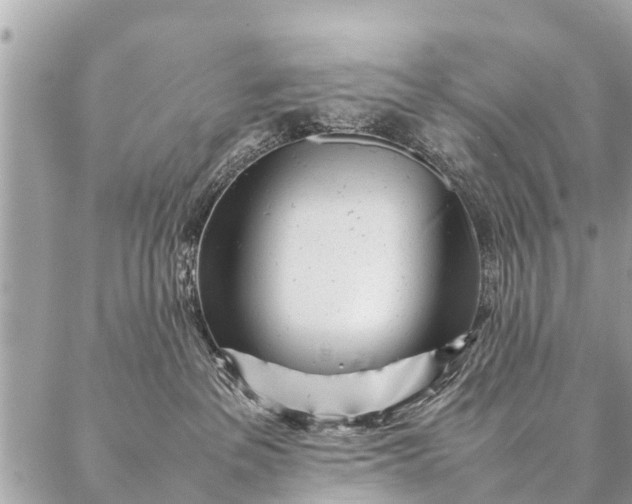 X0000087390237200705042018