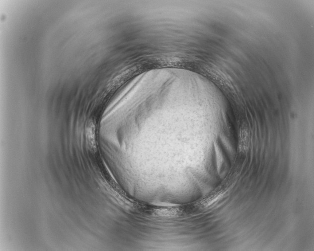 X0000087390238200705042018