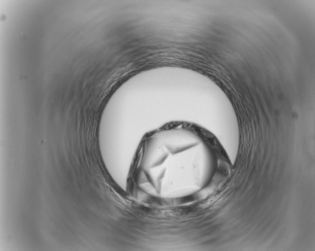 X0000087390239200705042018