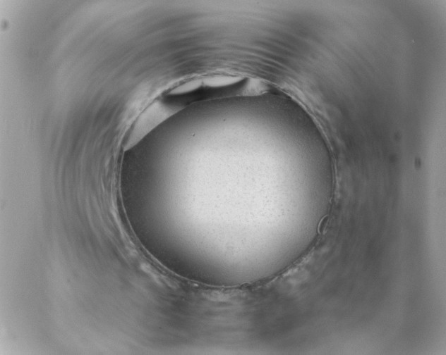 X0000087390241200705042017