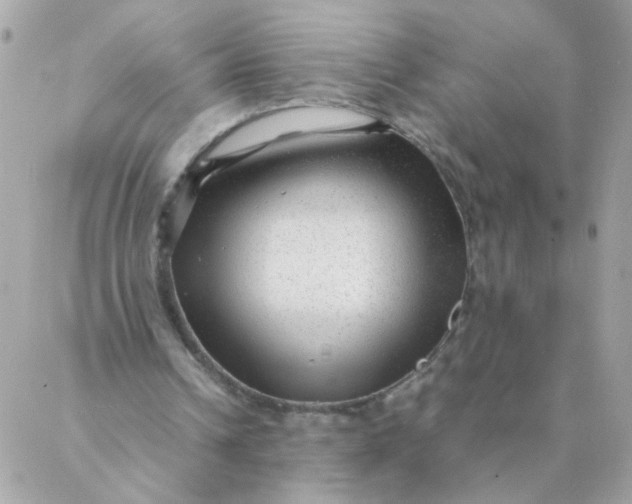 X0000087390242200705042017