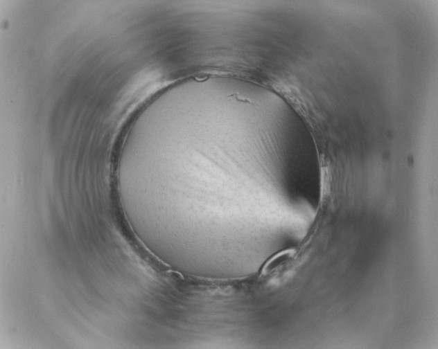 X0000087390243200705042017