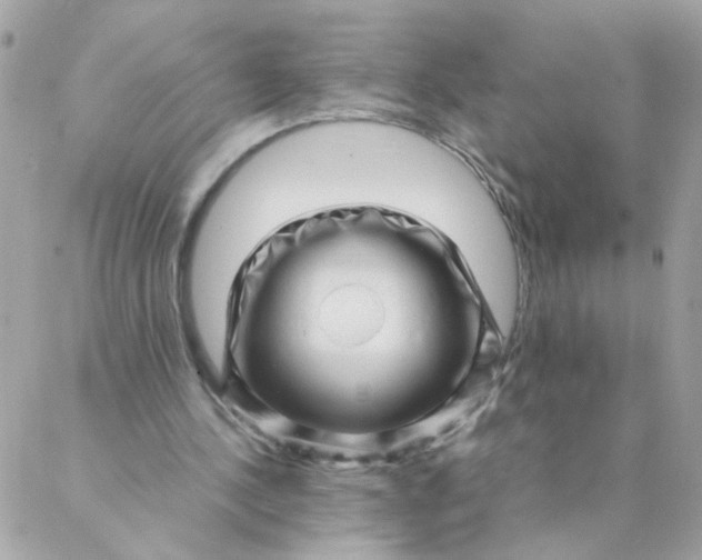 X0000087390244200705042017