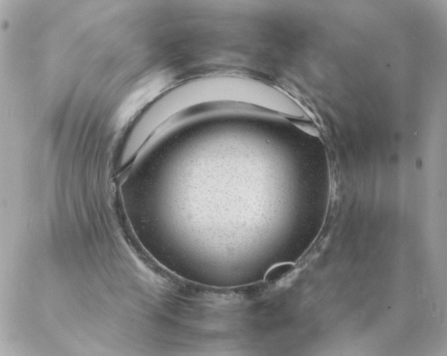 X0000087390245200705042017