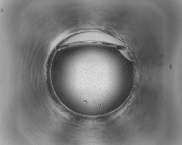 X0000087390246200705042017