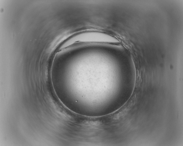 X0000087390247200705042017