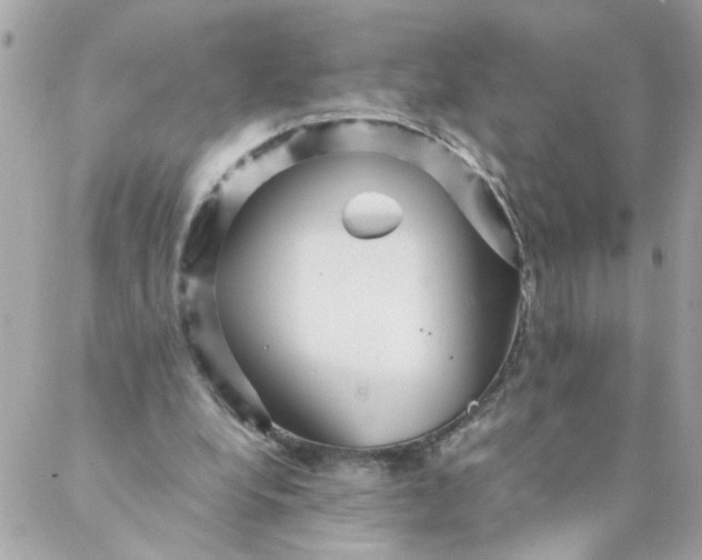 X0000087390248200705042017