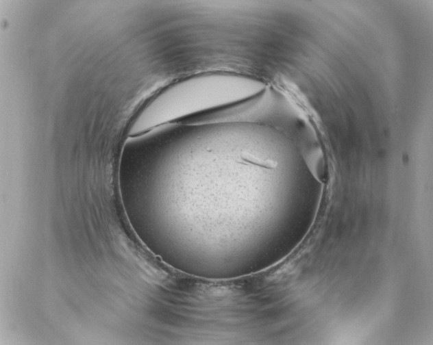 X0000087390249200705042017