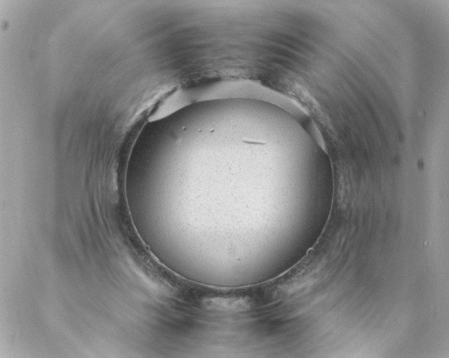 X0000087390251200705042017