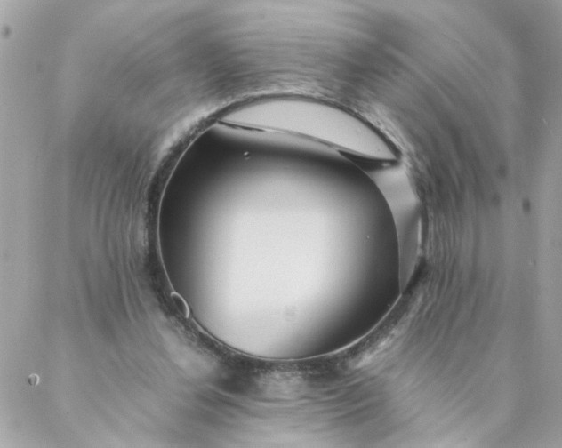 X0000087390252200705042017