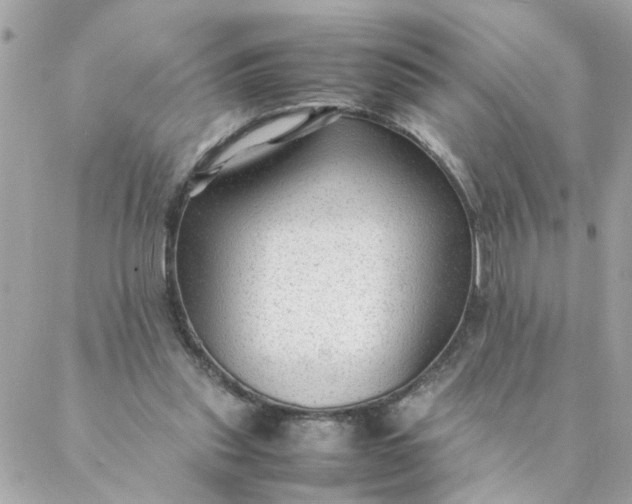 X0000087390253200705042017