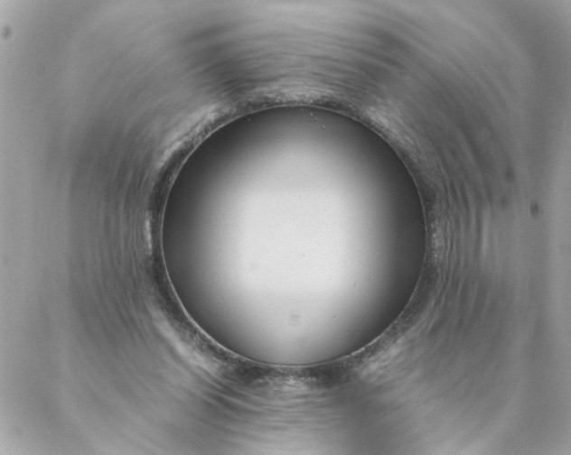 X0000087390254200705042017