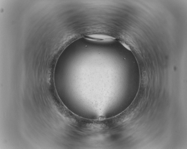 X0000087390255200705042017