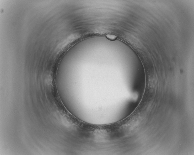 X0000087390256200705042017