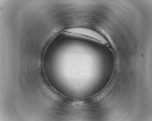 X0000087390257200705042017