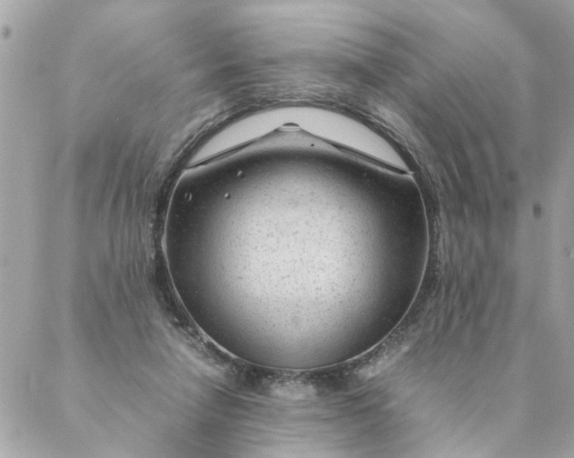 X0000087390258200705042018