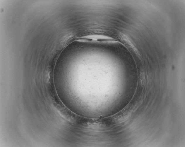 X0000087390259200705042018