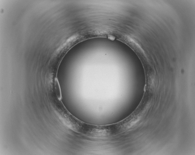 X0000087390260200705042018