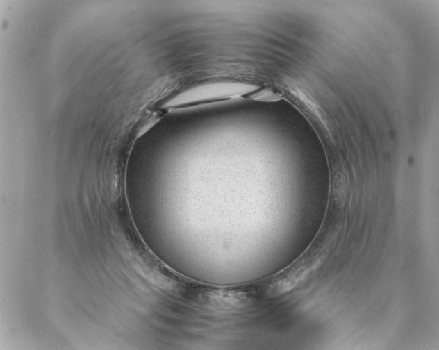 X0000087390261200705042018