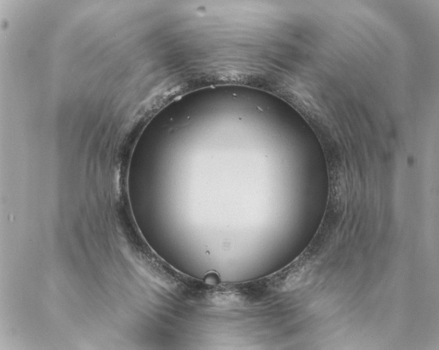 X0000087390262200705042018