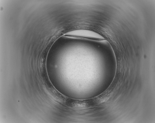 X0000087390263200705042018