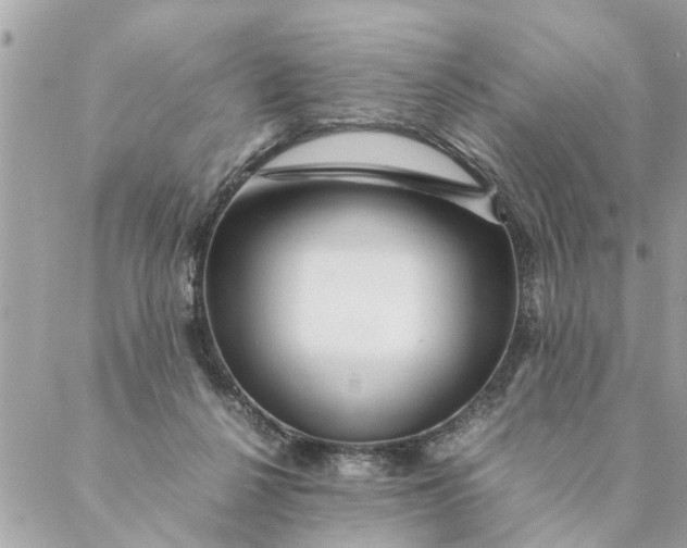 X0000087390264200705042018