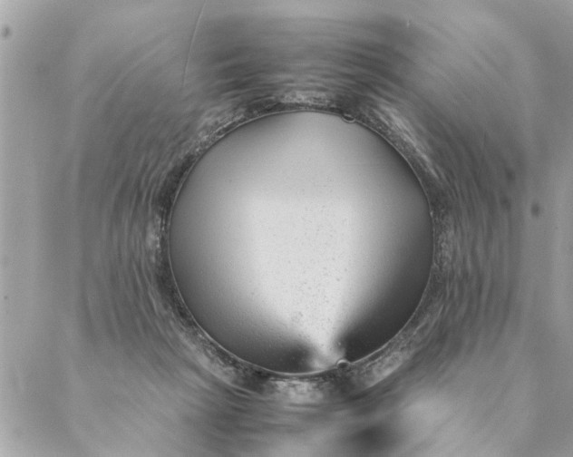 X0000087390265200705042018