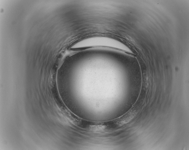 X0000087390266200705042018