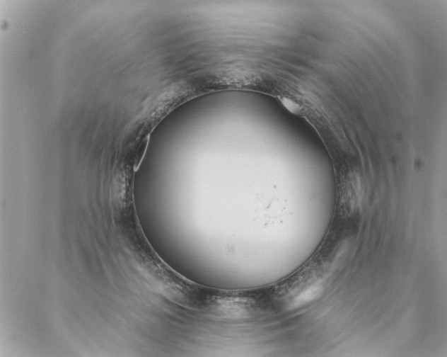 X0000087390268200705042018