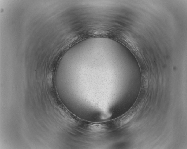 X0000087390269200705042018