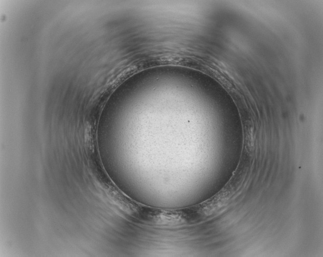 X0000087390270200705042018