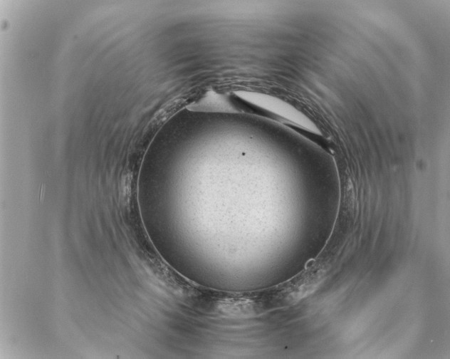 X0000087390271200705042018