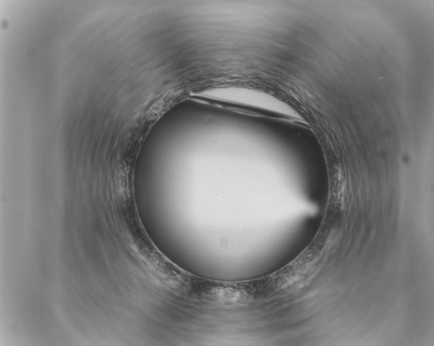 X0000087390272200705042018