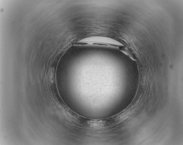 X0000087390273200705042018