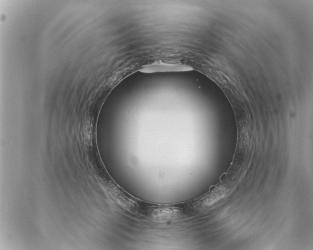 X0000087390274200705042018