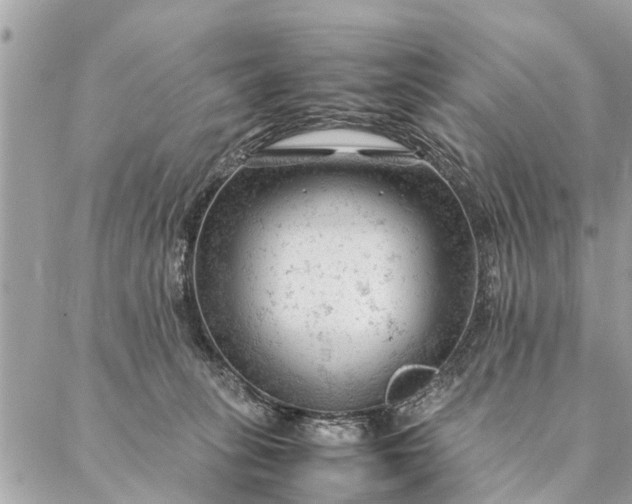 X0000087390275200705042018