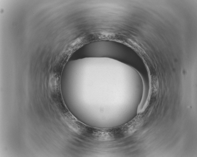 X0000087390276200705042018