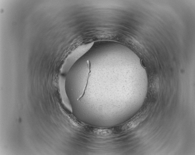 X0000087390277200705042018