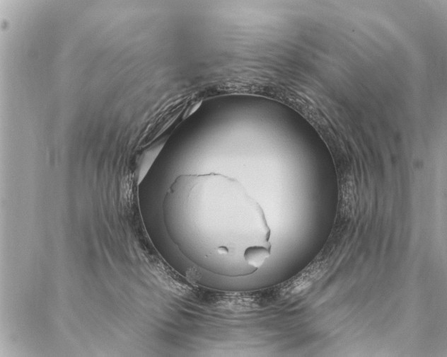 X0000087390278200705042018