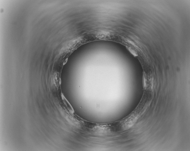 X0000087390280200705042018