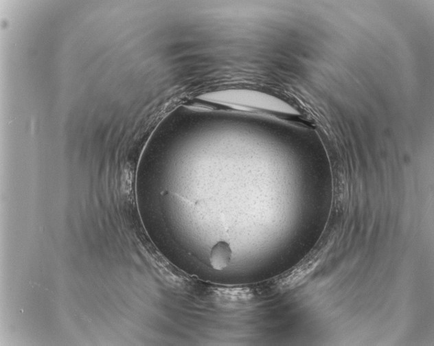 X0000087390281200705042018