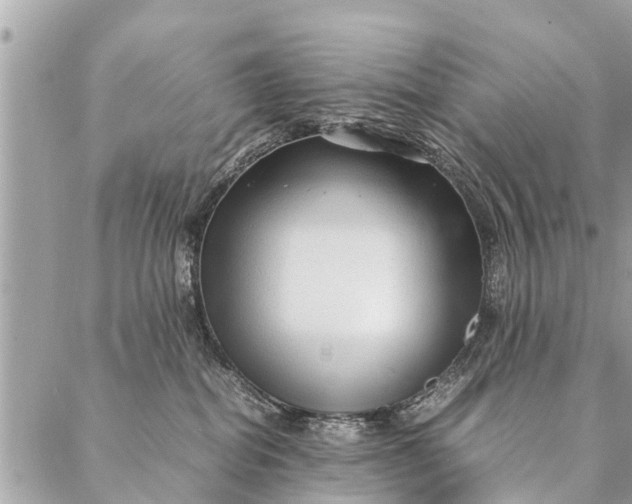 X0000087390282200705042018