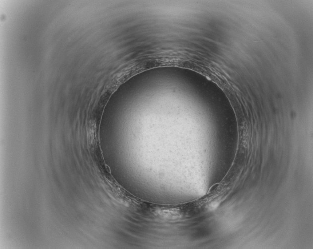 X0000087390283200705042018