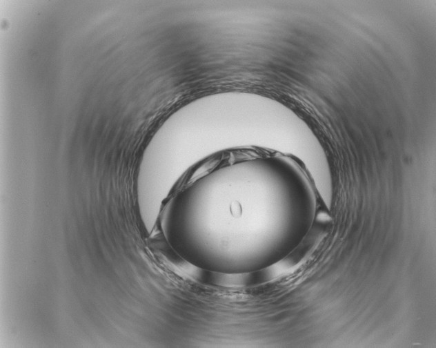 X0000087390284200705042018