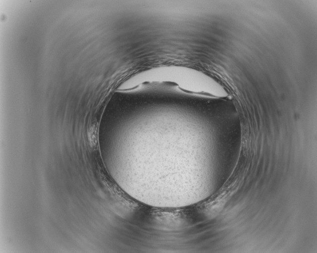 X0000087390285200705042018