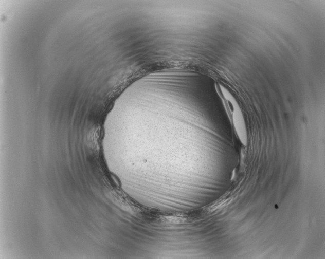 X0000087390286200705042018